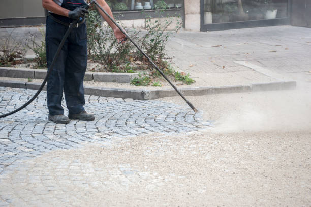 Best Driveway Cleaning and Restoration in Cascade, IA