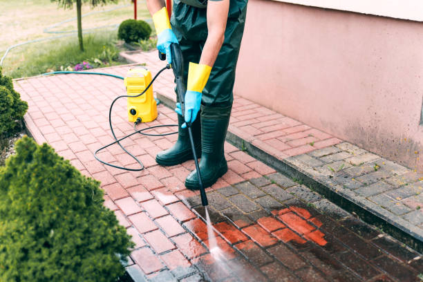Best Vinyl Siding Pressure Washing in Cascade, IA
